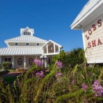Lobster Shanty