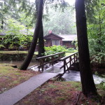 Glendorn Cabin