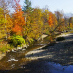 Vermont Foliage