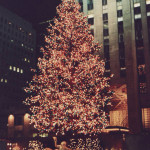 Rock Tree