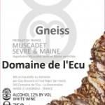 Gneiss