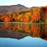 NY Foliage