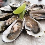 oysters