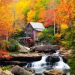 Fall Foliage